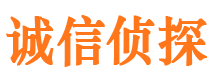 福建私家侦探公司